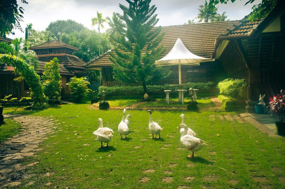 塔度假村 Alappuzha 外观 照片